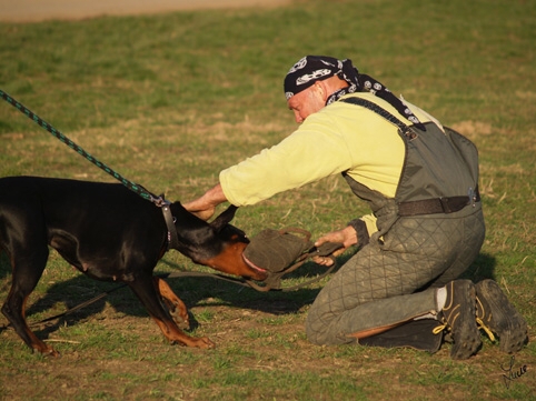 Training in Prague 3/2007